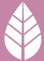 Sylk white leaf icon on pink