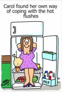 Menopause Hot Flush - sit in the fridge cartoon